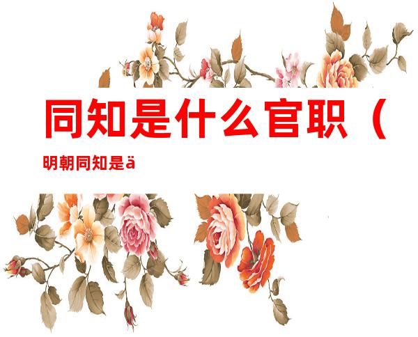 同知是什么官职（明朝同知是什么官）