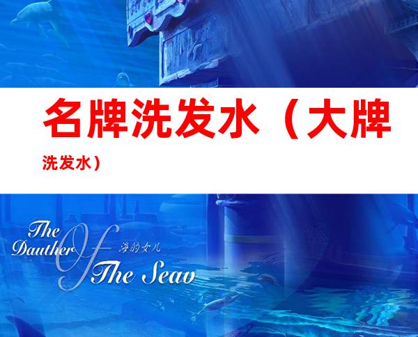 名牌洗发水(大牌洗发水)