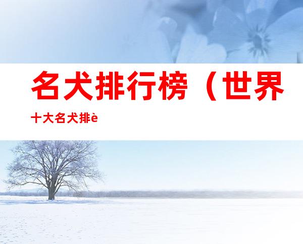 名犬排行榜(世界十大名犬排行榜)