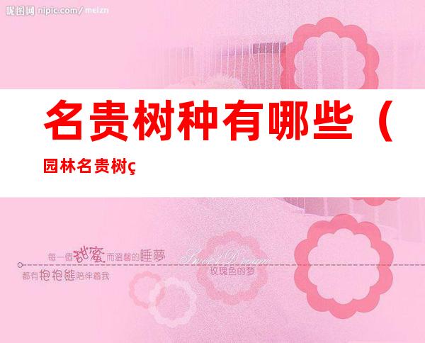 名贵树种有哪些（园林名贵树种有哪些）