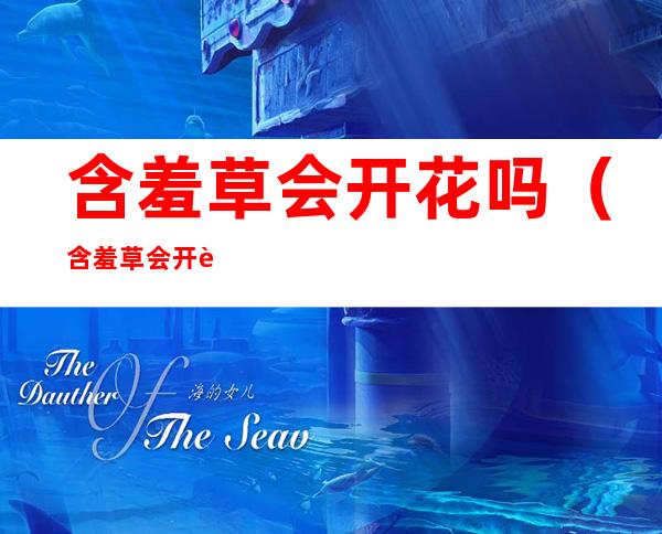 含羞草会开花吗(含羞草会开花吗,是什么颜色的)