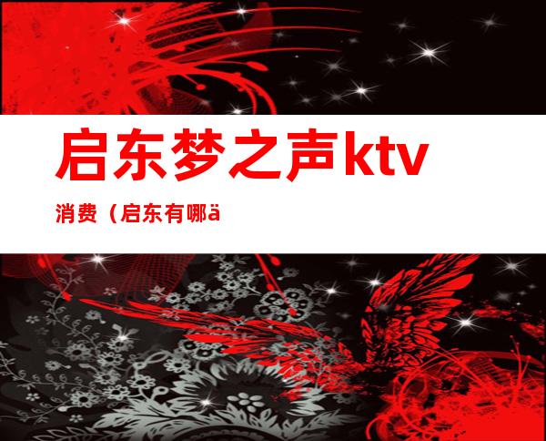 启东梦之声ktv消费(启东有哪些ktv会所)