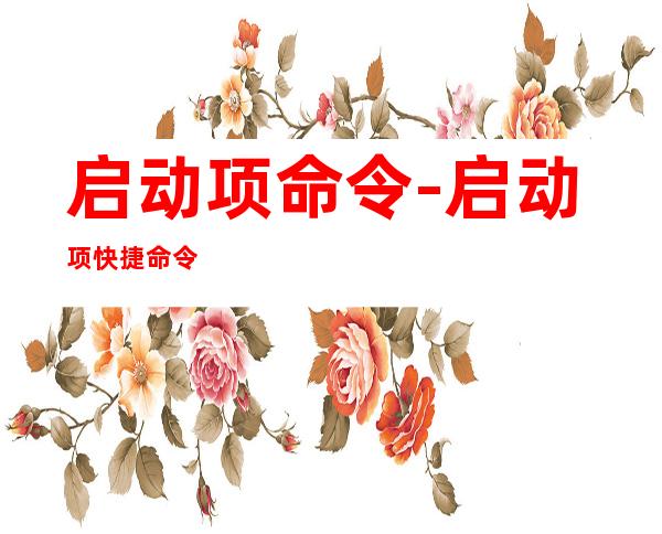启动项命令-启动项快捷命令