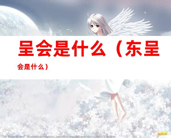 呈会是什么(东呈会是什么)