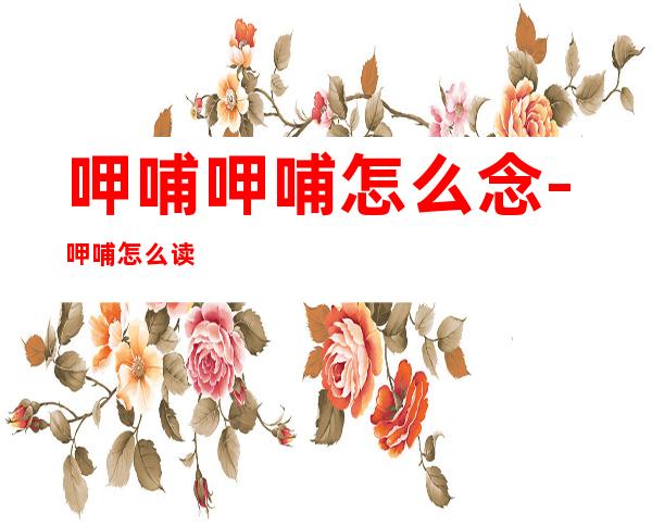 呷哺呷哺怎么念-呷哺怎么读?