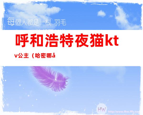 呼和浩特夜猫ktv公主（哈密哪家KTV有公主）