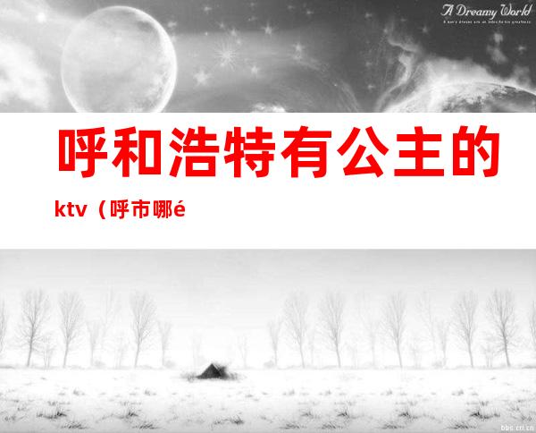 呼和浩特有公主的ktv(呼市哪里有公主)