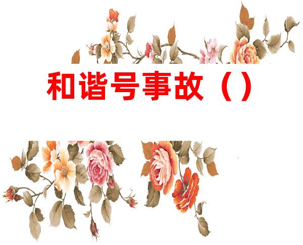 和谐号事故()