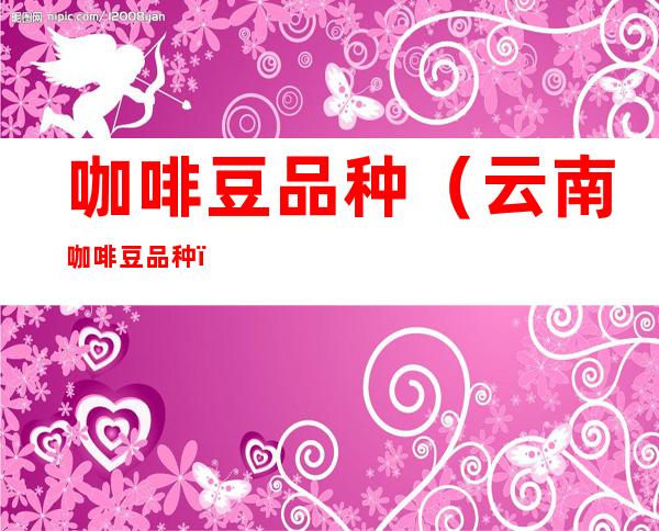 咖啡豆品种（云南咖啡豆品种）