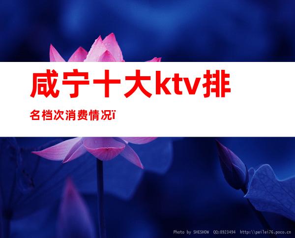 咸宁十大ktv排名档次消费情况(咸宁ktv一条街会坑你消费吗)