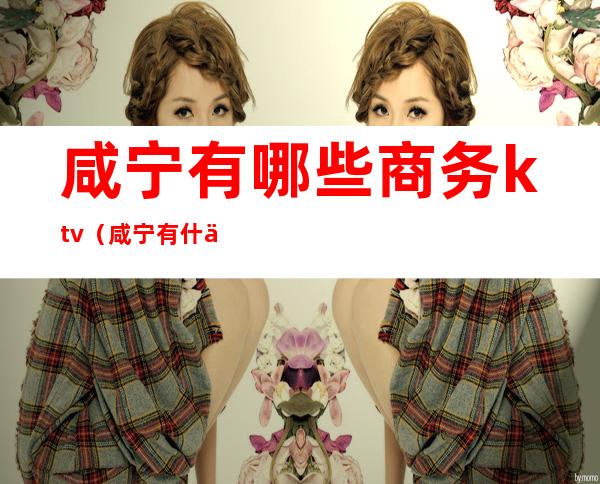 咸宁有哪些商务ktv（咸宁有什么特产）