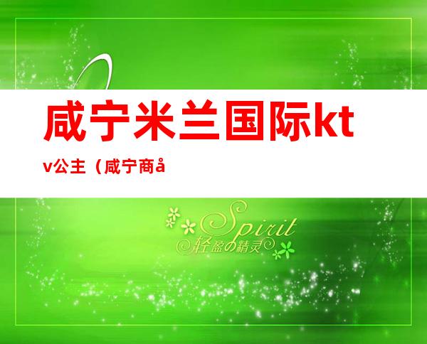 咸宁米兰国际ktv公主(咸宁商务ktv)