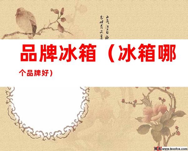 品牌冰箱(冰箱哪个品牌好)