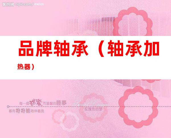 品牌轴承(轴承加热器)