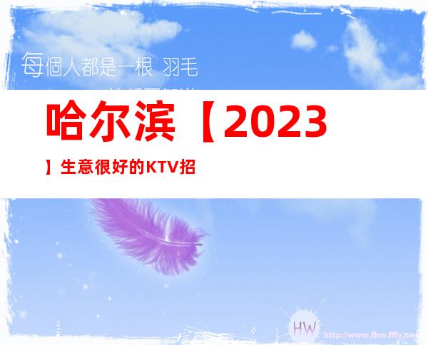 哈尔滨【2023】生意很好的KTV招聘起步