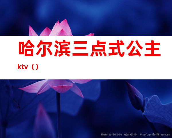 哈尔滨三点式公主ktv()