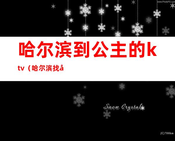 哈尔滨到公主的ktv(哈尔滨找工作)