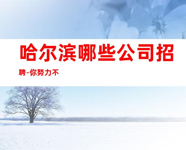 哈尔滨哪些公司招聘-你努力不可能没