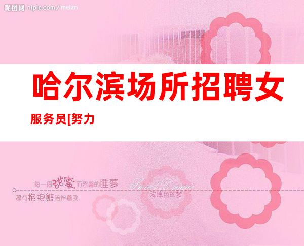 哈尔滨场所招聘女服务员[努力到无能为力]很棒