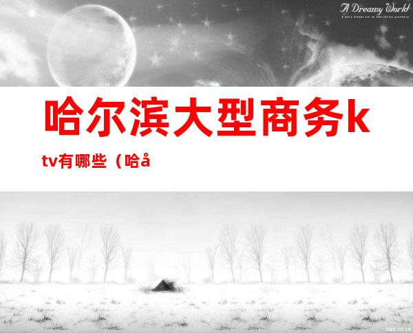 哈尔滨大型商务ktv有哪些(哈尔滨商务ktv消费)