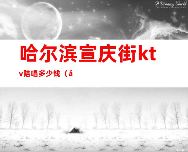 哈尔滨宣庆街ktv陪唱多少钱(哈尔滨宣庆街ktv攻略)