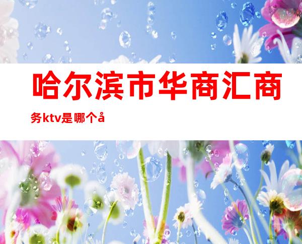 哈尔滨市华商汇商务ktv是哪个区(哈尔滨市KTV)