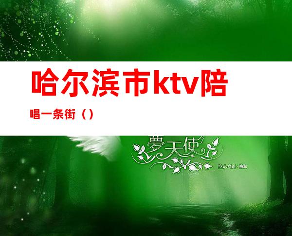 哈尔滨市ktv陪唱一条街()