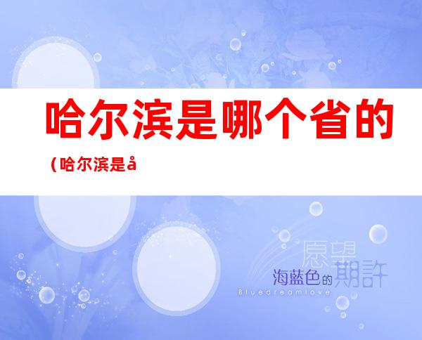 哈尔滨是哪个省的(哈尔滨是哪个省的城市美洲国)