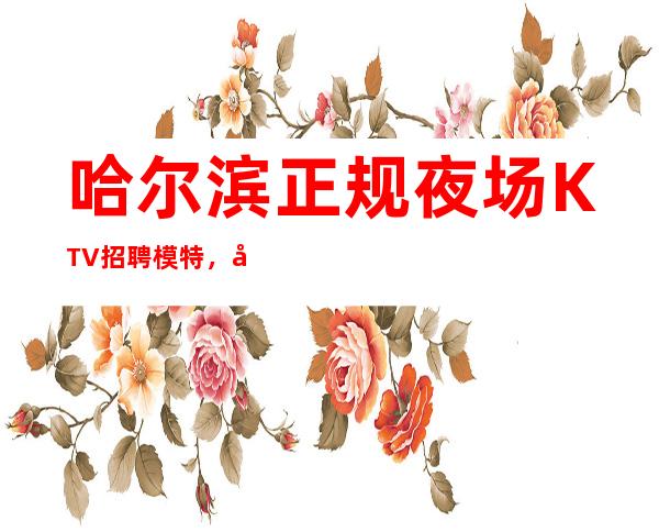 哈尔滨正规夜场KTV招聘模特，包房多，每日爆满，收入多多日结