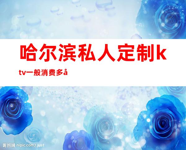 哈尔滨私人定制ktv一般消费多少()