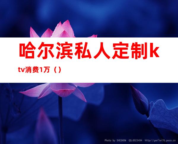 哈尔滨私人定制ktv消费1万()
