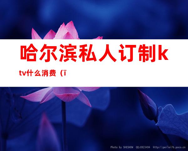 哈尔滨私人订制ktv什么消费()
