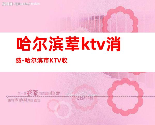 哈尔滨荤ktv消费-哈尔滨市KTV收费情况