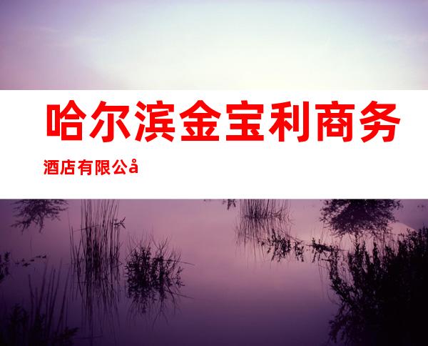 哈尔滨金宝利商务酒店有限公司金宝利量贩式KTV()