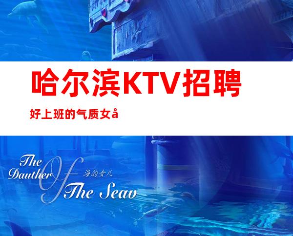哈尔滨KTV招聘好上班的气质女孩收银员