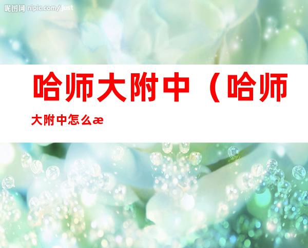 哈师大附中(哈师大附中怎么样)