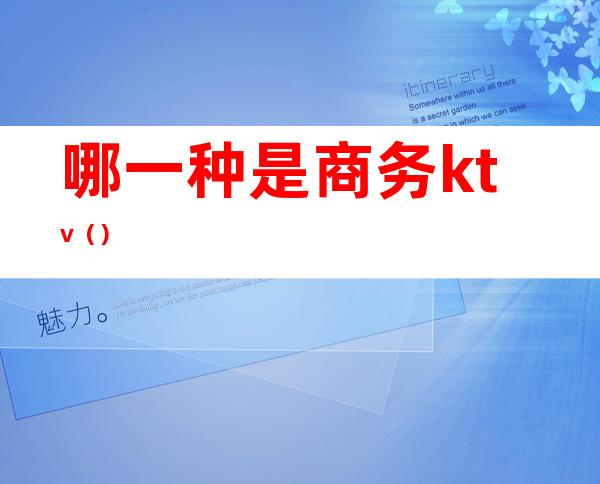 哪一种是商务ktv()