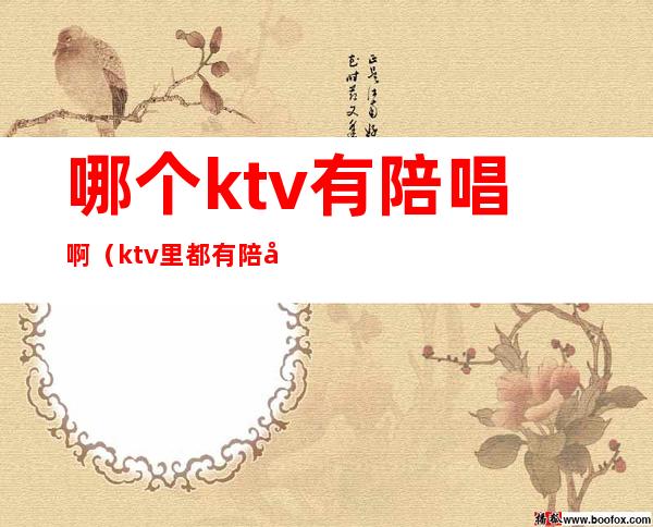 哪个ktv有陪唱啊(ktv里都有陪唱的吗)