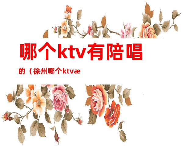 哪个ktv有陪唱的(徐州哪个ktv有陪唱的)