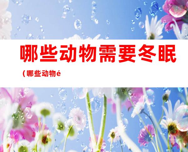 哪些动物需要冬眠（哪些动物需要冬眠为什么）