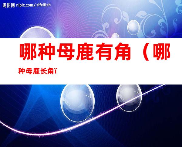 哪种母鹿有角（哪种母鹿长角）