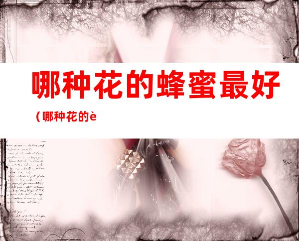 哪种花的蜂蜜最好(哪种花的蜂蜜最好吃)