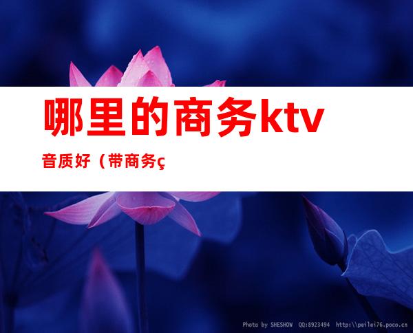 哪里的商务ktv音质好(带商务的KTV)