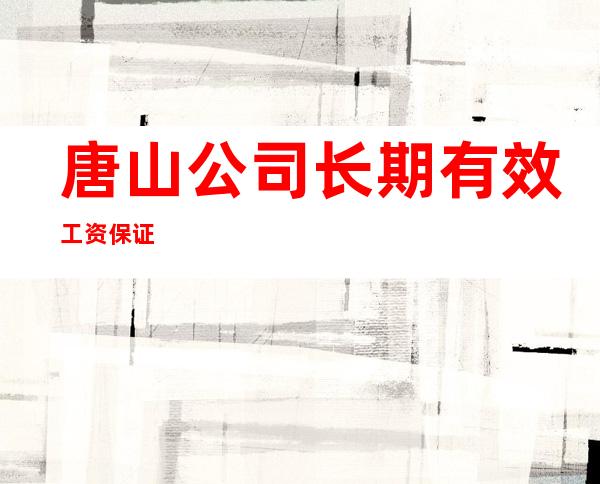 唐山公司长期有效工资保证
