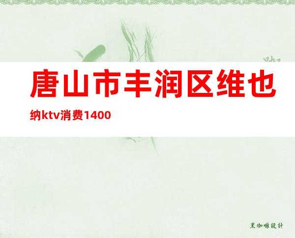 唐山市丰润区维也纳ktv消费1400()