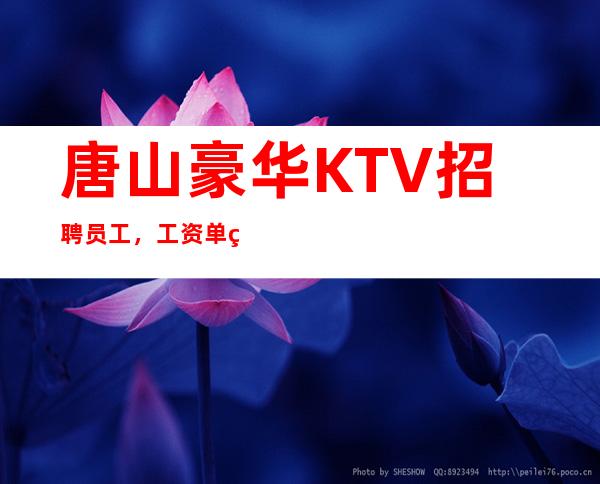 唐山豪华KTV招聘员工,工资单结(上班 轻松,高收入)