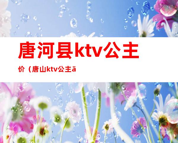 唐河县ktv公主价(唐山ktv公主什么价位)