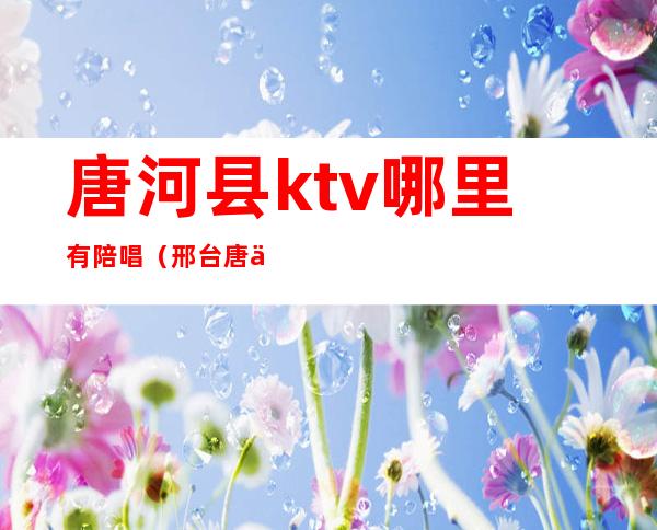 唐河县ktv哪里有陪唱(邢台唐会ktv有陪唱吗)