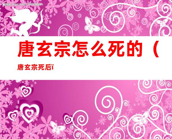 唐玄宗怎么死的（唐玄宗死后）