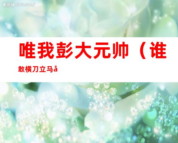 唯我彭大元帅(谁敢横刀立马 唯我彭大元帅图片)